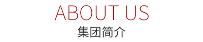 天欣集團(tuán)簡介
